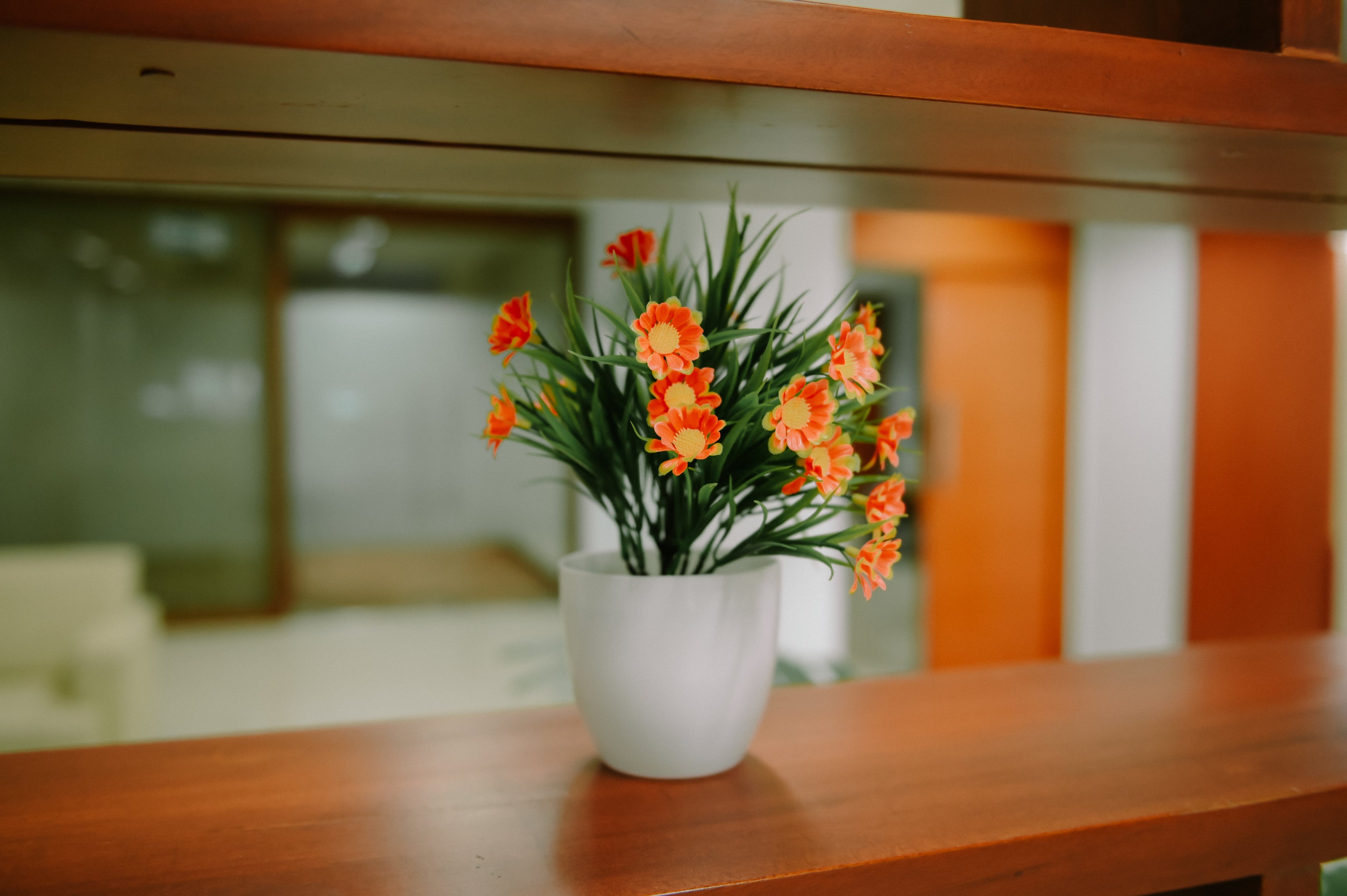 The 5-Minute Morning Routine That Makes Your Houseplants Happier