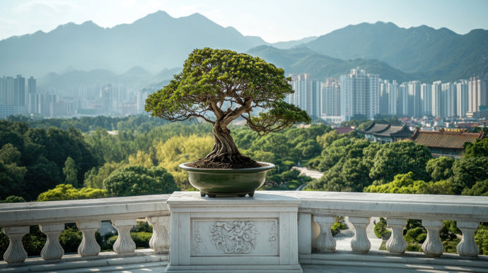 Why Use Low Nitrogen Fertilizer for Bonsai—and How to Mix It Like a Pro