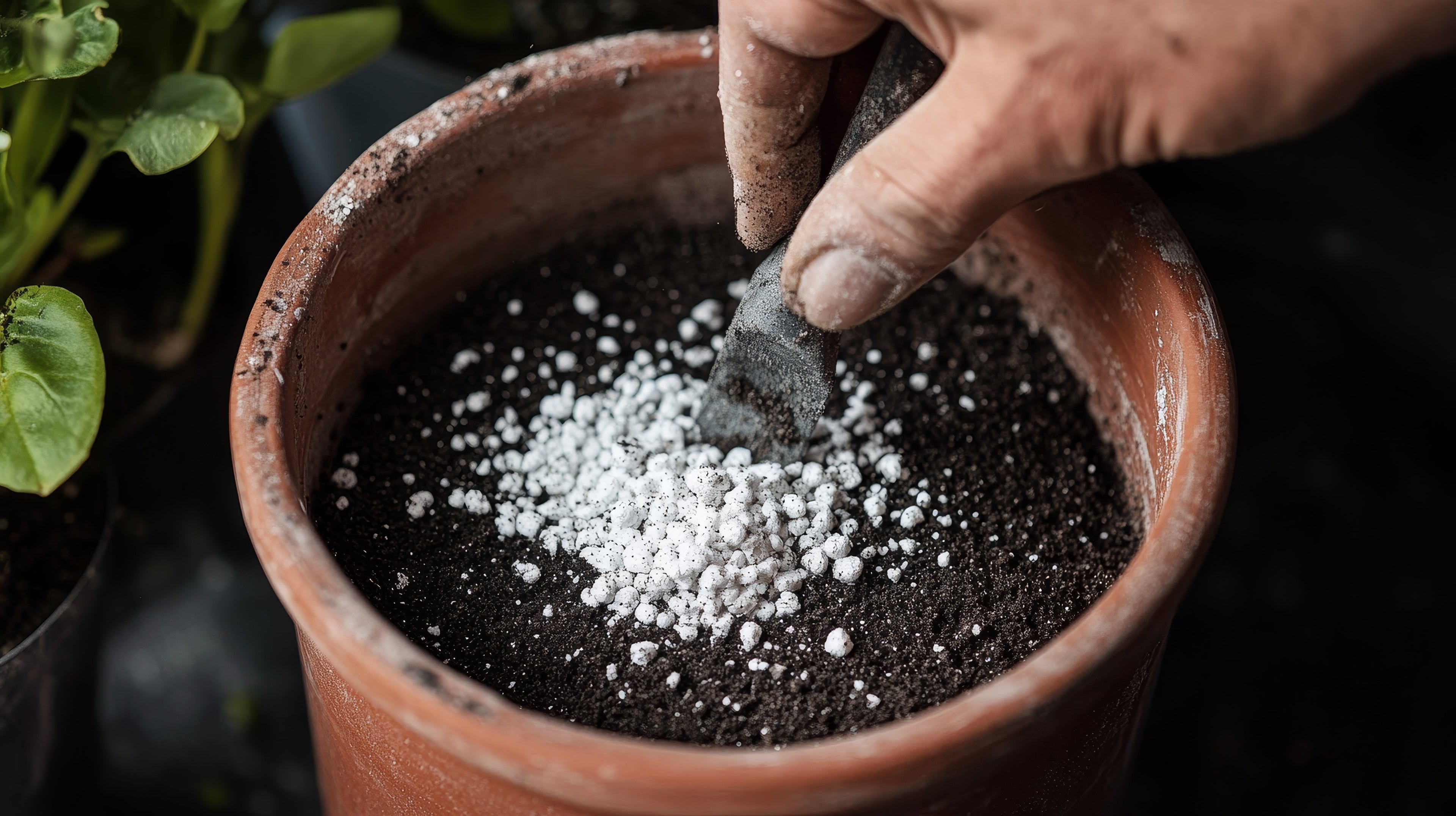 7 Common Potting Mix Ingredients: What Each One Actually Does
