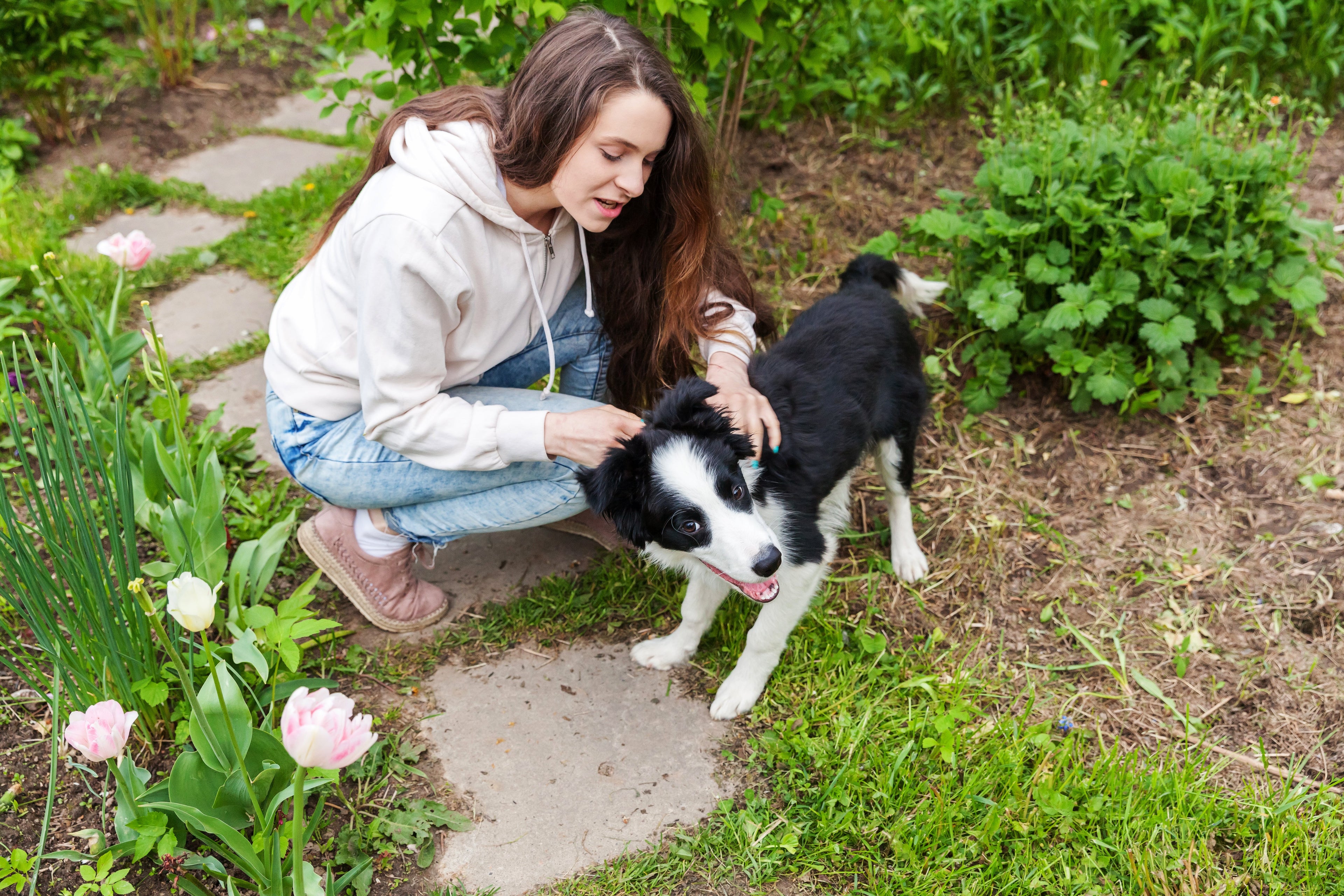 Safe Animal Repellents for Gardeners With Pets
