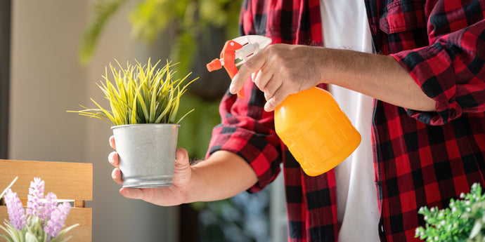 The Ultimate Guide to Choosing the Right Fertilizer for Your Houseplants
