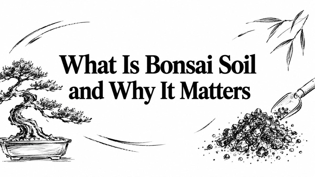 What Is Bonsai Soil and Why It Matters
