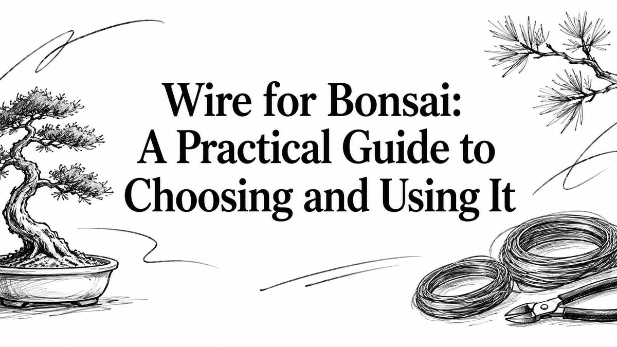 Wire for Bonsai: A Practical Guide to Choosing and Using It