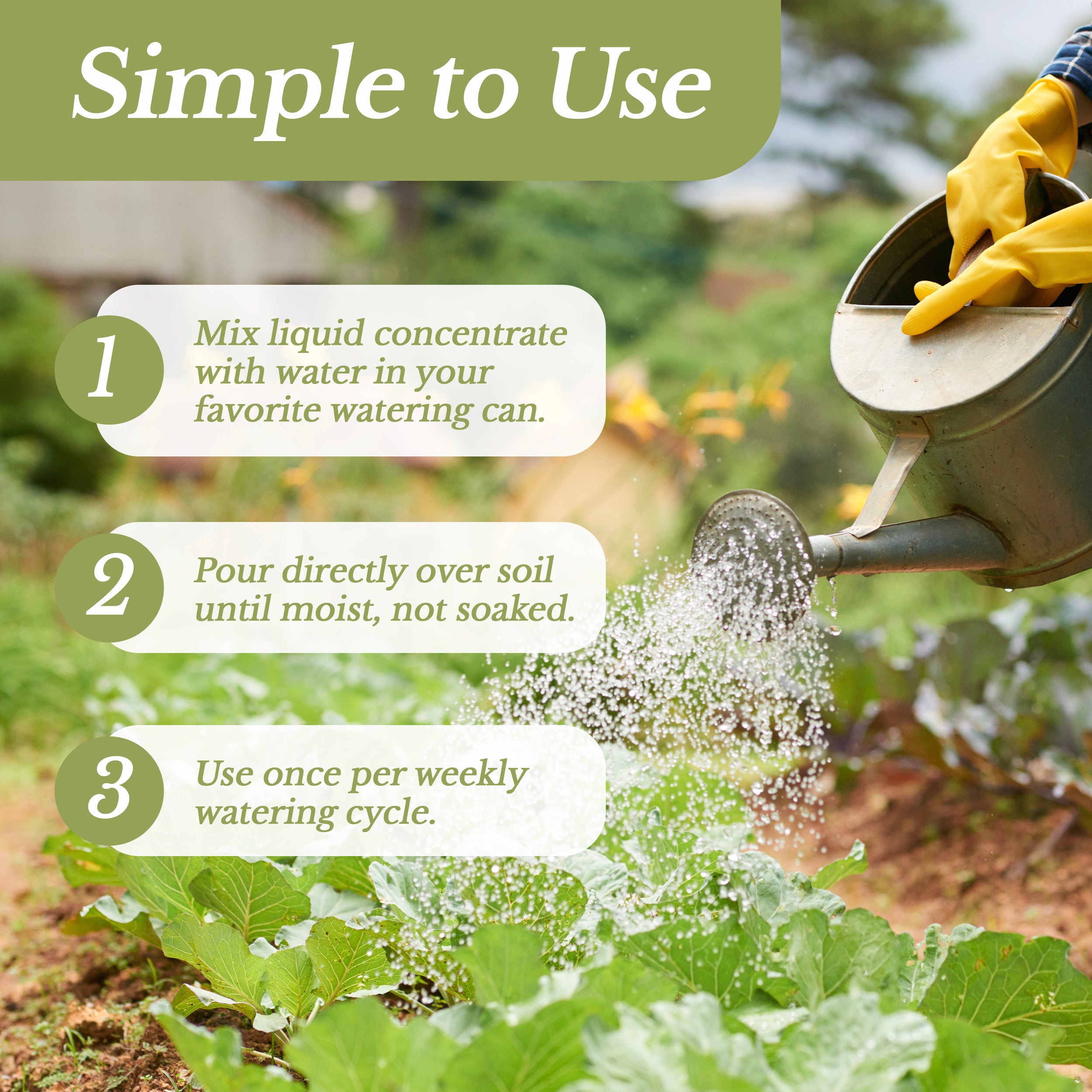 Professional Liquid Corn Fertilizer | 5-1-5 Concentrate, Liquid Plant Fertilizer for Garden, Healthy Produce, Good Harvest, Multi-Purpose Blend & Gardening Supplies | 8 oz