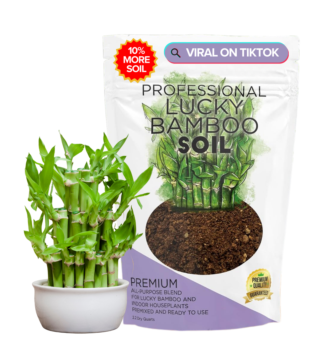 Professional Lucky Bamboo Soil | Large 2.2 Quarts Ready to Use for Lucky Bamboo Plants | Peat Moss, Coco Coir, Perlite, Dolomite
