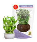 Professional Lucky Bamboo Soil | Large 2.2 Quarts Ready to Use for Lucky Bamboo Plants | Peat Moss, Coco Coir, Perlite, Dolomite