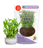 Professional Lucky Bamboo Soil | Large 2.2 Quarts Ready to Use for Lucky Bamboo Plants | Peat Moss, Coco Coir, Perlite, Dolomite