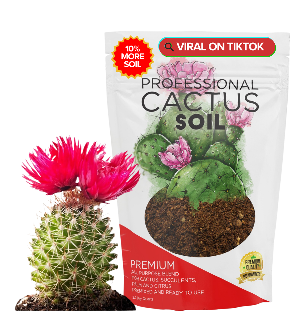 Professional Cactus Soil | Large 2.2 Quarts Ready to Use for Cactus Plants | Peat Moss, Coco Coir, Perlite, Dolomite