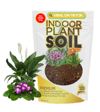 Indoor Plant Soil Premium All Purpose Blend | Large 2.2 Quarts | Ready to Use for Indoor Container and Houseplants | Peat, Coco Coir, Perlite, Dolomite