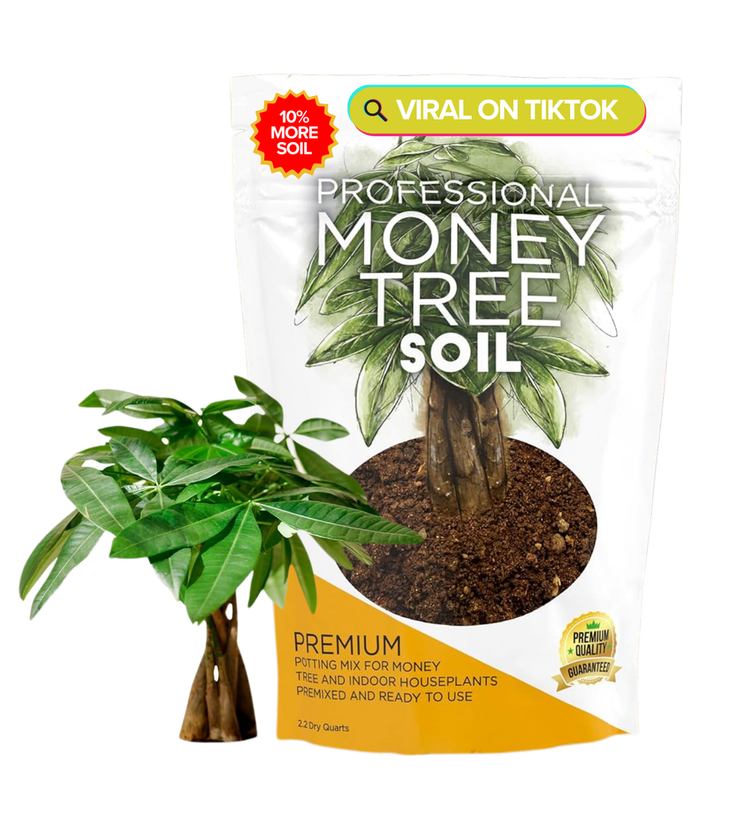 Professional Money Tree Soil | Large 2.2 Quarts Ready to Use for Money Tree Plants | Peat Moss, Coco Coir, Perlite, Dolomite