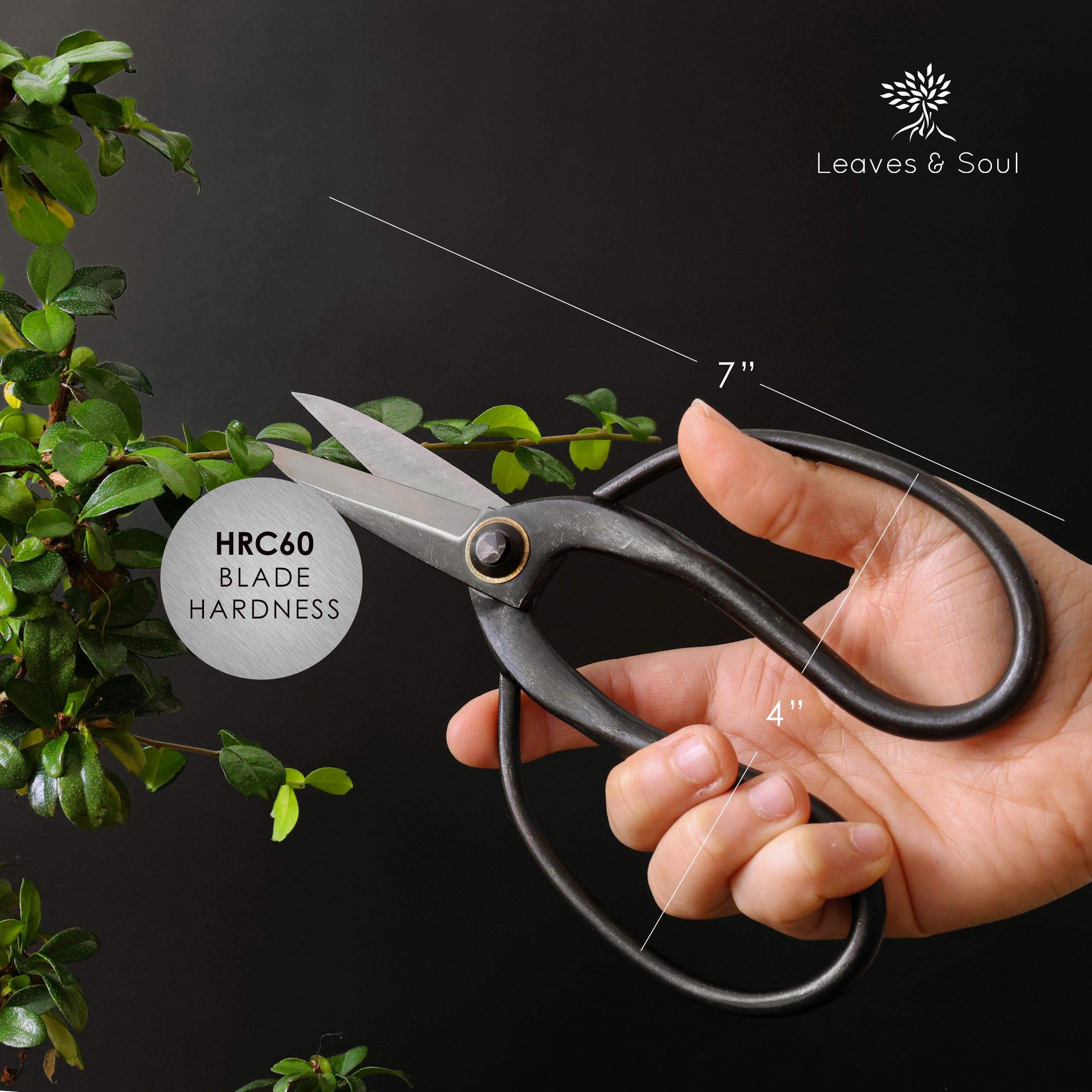 Professional Bonsai Scissors | Pruning Shears for Trimming Plants | Japanese Gardening, Bonsai Tools | Garden Scissors (Butterfly)