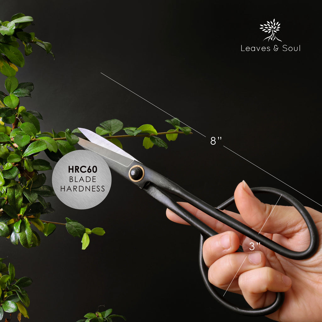 Professional Bonsai Scissors | Pruning Shears for Trimming Plants | Japanese Gardening, Bonsai Tools | Garden Scissors (Slim)