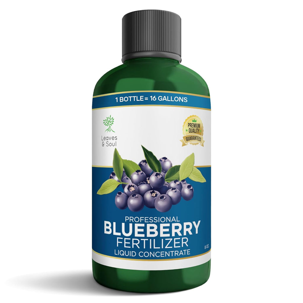 Leaves and Soul Professional Blueberry Fertilizer Liquid Concentrate - 6-4-6 Blend Liquid Garden Fertilizer for Blueberry - Plant Food for Blueberry Bushes and Plants
