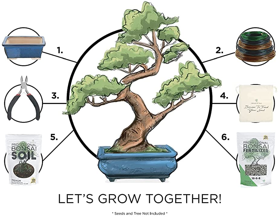 Complete Bonsai Set | BLUE - Soil, Fertilizer, Blue Pot and Wire Kit