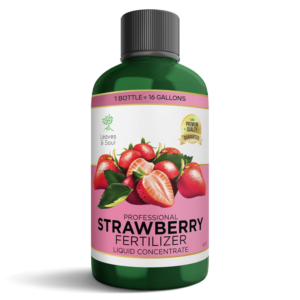 Leaves and Soul Professional Strawberry Fertilizer Liquid Concentrate - 6-4-6 Blend Liquid Garden Fertilizer for Strawberries - Plant Food for Strawberry Bushes and Plants