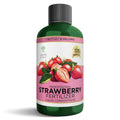 Leaves and Soul Professional Strawberry Fertilizer Liquid Concentrate - 6-4-6 Blend Liquid Garden Fertilizer for Strawberries - Plant Food for Strawberry Bushes and Plants