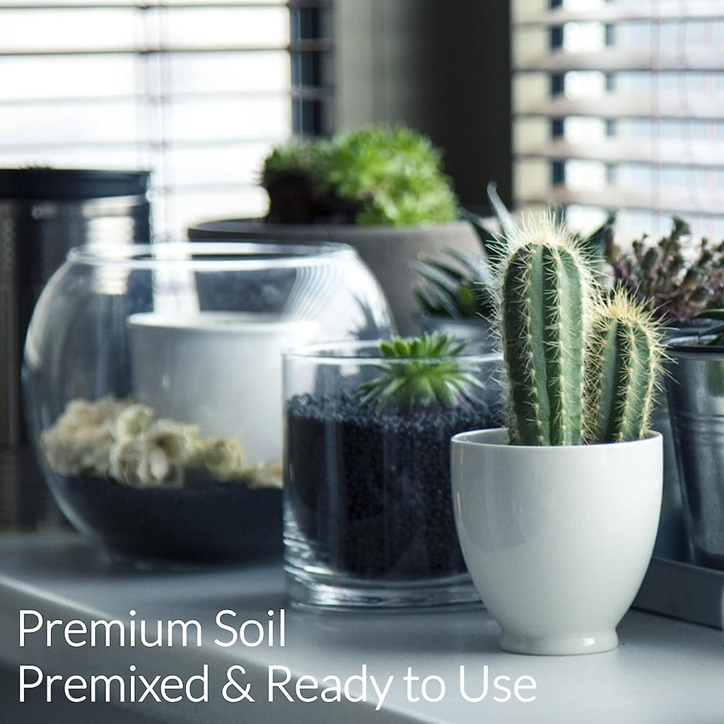 Professional Cactus Soil | Large 2.2 Quarts Ready to Use for Cactus Plants | Peat Moss, Coco Coir, Perlite, Dolomite