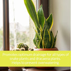 Professional Snake Plant Soil | Large 2.2 Quarts Ready to Use for Snake Plants | Peat Moss, Coco Coir, Perlite, Dolomite