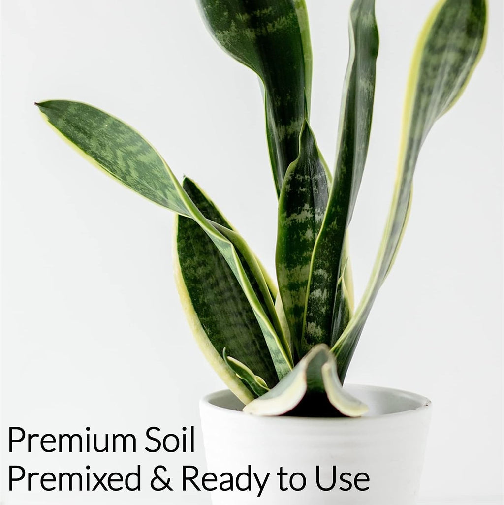 Professional Snake Plant Soil | Large 2.2 Quarts Ready to Use for Snake Plants | Peat Moss, Coco Coir, Perlite, Dolomite