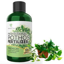 Load image into Gallery viewer, Professional Liquid Pothos Plant Fertilizer | 3-1-2 Concentrate for Epipremnums and Houseplants | 8 oz Bottle

