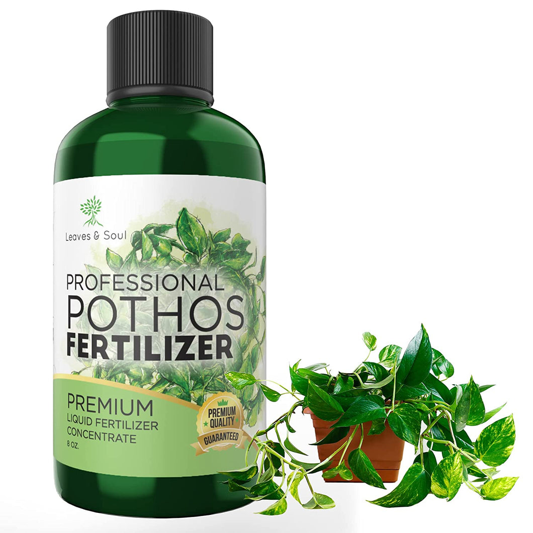 Professional Liquid Pothos Plant Fertilizer | 3-1-2 Concentrate for Epipremnums and Houseplants | 8 oz Bottle