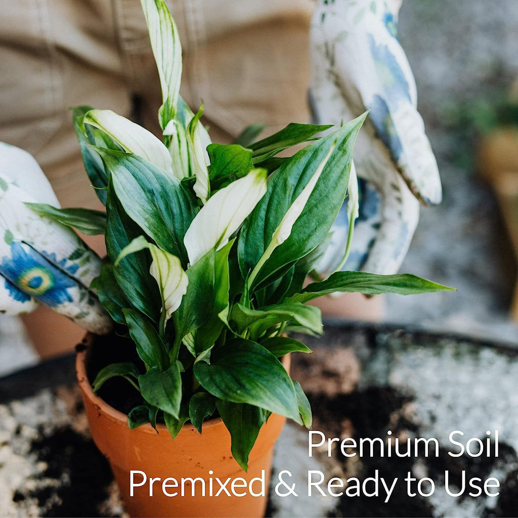 Professional Peace Lily Soil | Large 2.2 Quarts Ready to Use for Peace Lily Plants | Peat Moss, Coco Coir, Perlite, Dolomite