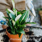 Professional Peace Lily Soil | Large 2.2 Quarts Ready to Use for Peace Lily Plants | Peat Moss, Coco Coir, Perlite, Dolomite