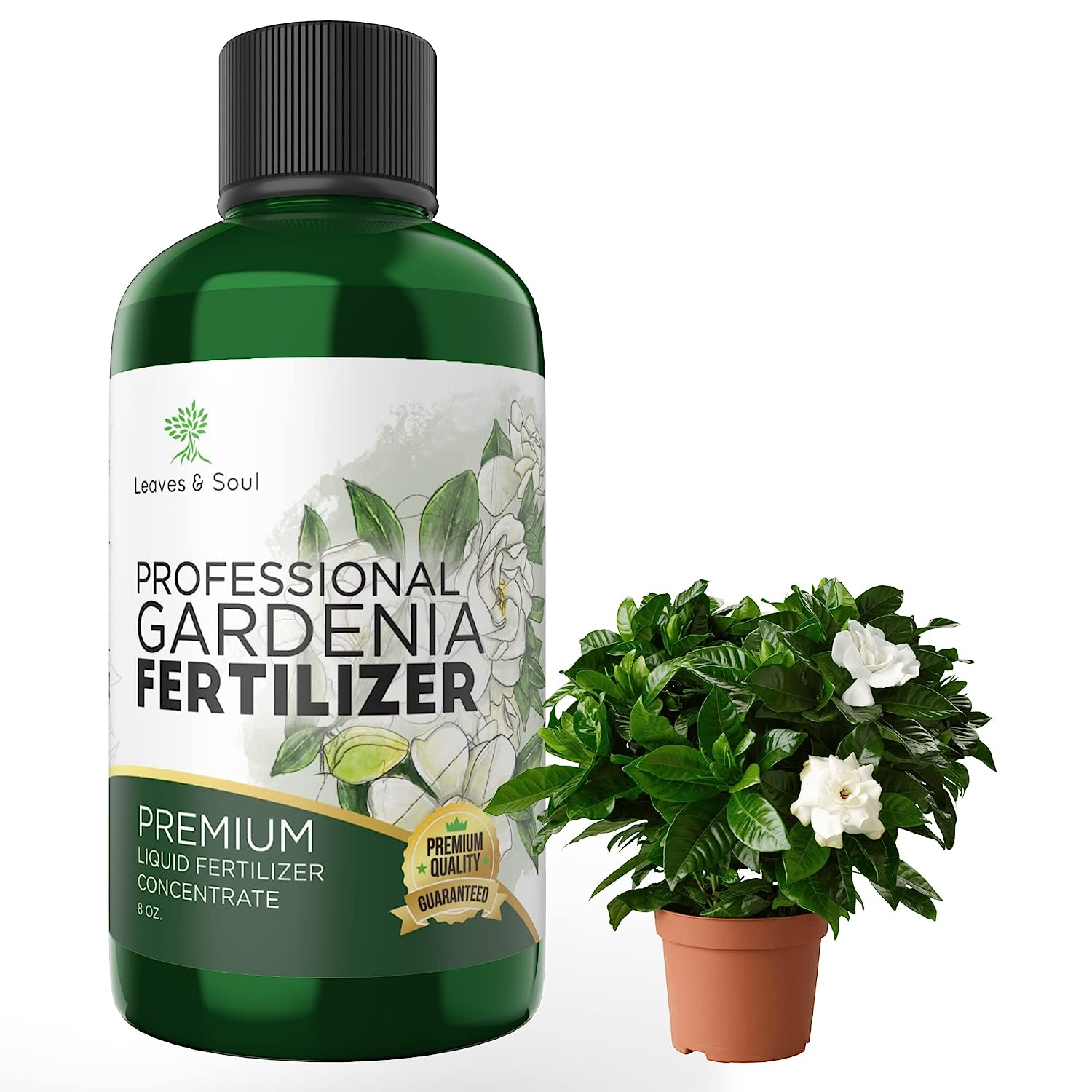 Professional Liquid Gardenia Plant Fertilizer | 3-1-2 Concentrate for ...