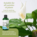 Professional Liquid Peace Lily Plant Fertilizer