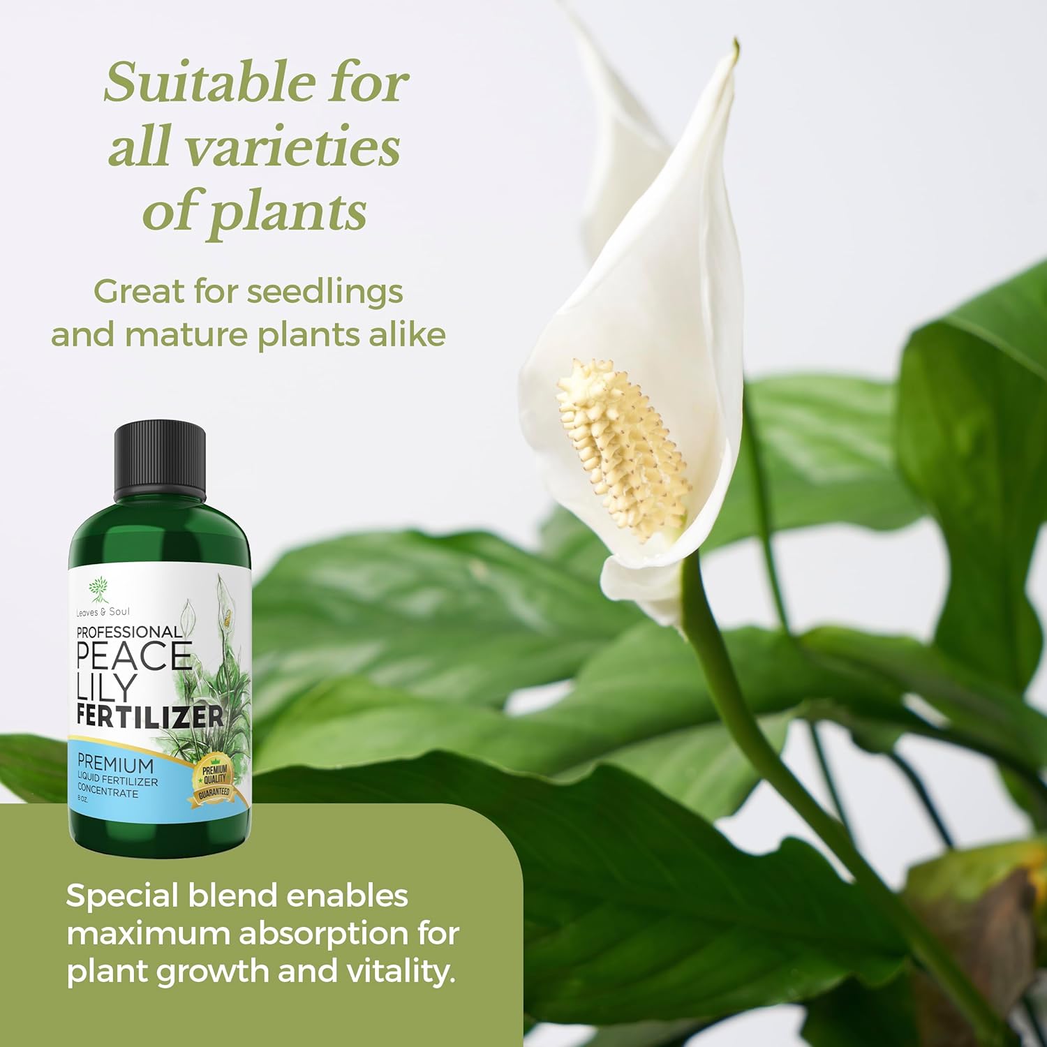 Professional Liquid Peace Lily Plant Fertilizer