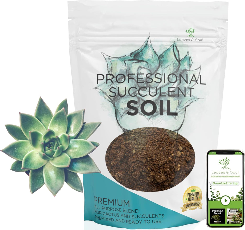 Premium Succulent Soil All Purpose Blend | Pre-mixed 2.2 and 8.2 Dry Quarts