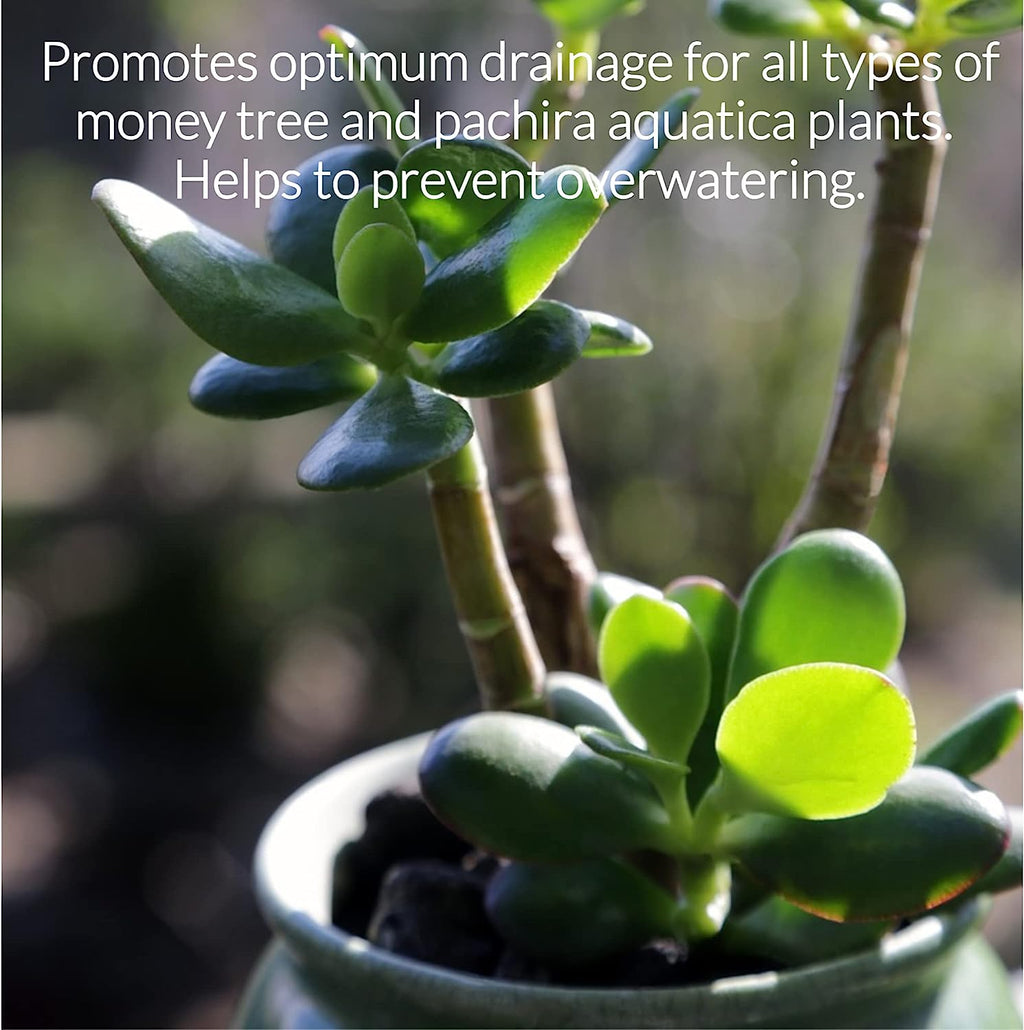 Professional Money Tree Soil | Large 2.2 Quarts Ready to Use for Money Tree Plants | Peat Moss, Coco Coir, Perlite, Dolomite