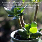 Professional Money Tree Soil | Large 2.2 Quarts Ready to Use for Money Tree Plants | Peat Moss, Coco Coir, Perlite, Dolomite