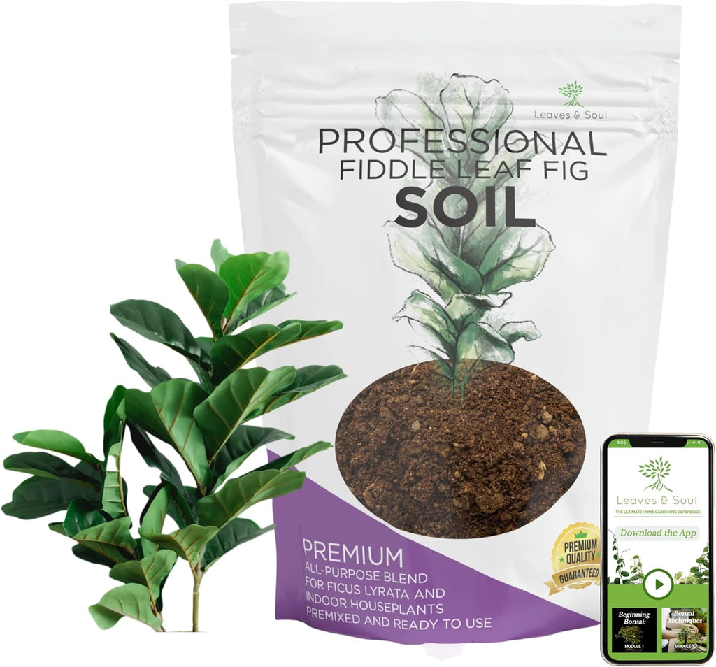 Premium Fiddle Leaf Fig and House Plant Soil All Purpose Blend | Pre-mixed 2.2 and 8.2 Dry Quarts