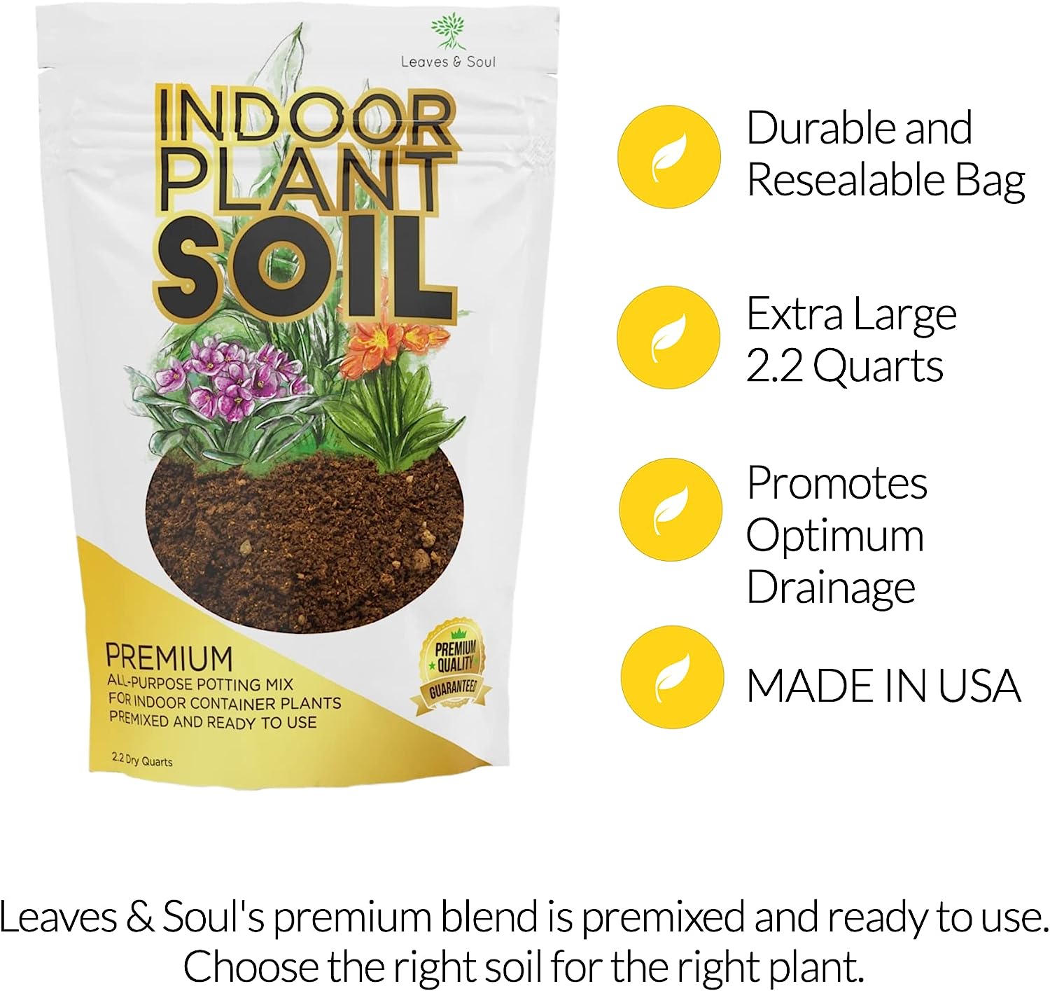 Indoor Plant Soil Premium All Purpose Blend | Large 2.2 Quarts | Ready to Use for Indoor Container and Houseplants | Peat, Coco Coir, Perlite, Dolomite