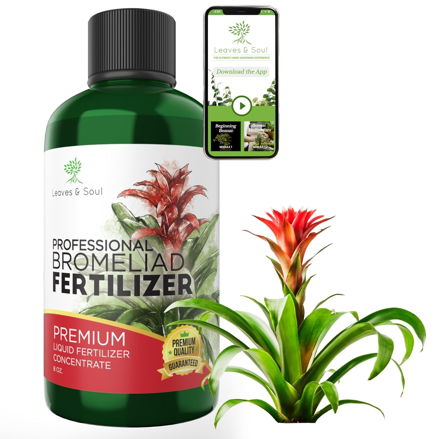 Professional Liquid Bromeliad Plant Fertilizer