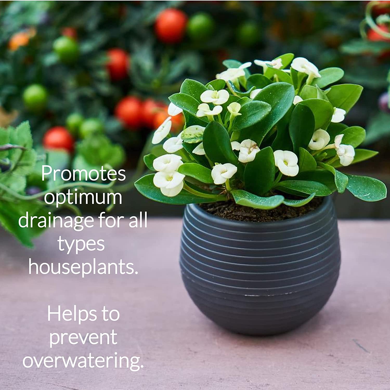 perlite indoor plants Indoor Plant Soil Premium All Purpose Blend | Large 2.2 Quarts | Ready to Use for Indoor Container and Houseplants