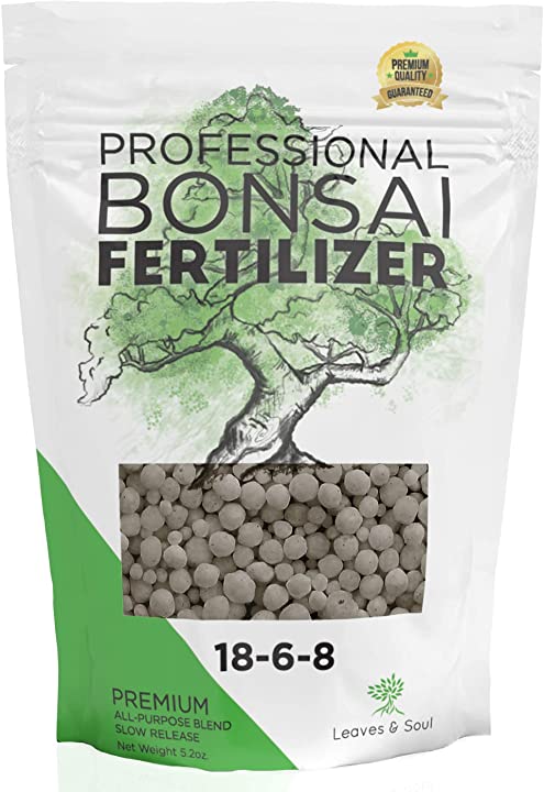 Complete Bonsai Set | BLUE - Soil, Fertilizer, Blue Pot and Wire Kit