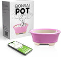 Glazed Ceramic Bonsai Pot | Pink Oval