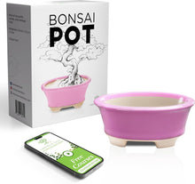 Load image into Gallery viewer, Glazed Ceramic Bonsai Pot | Pink Oval
