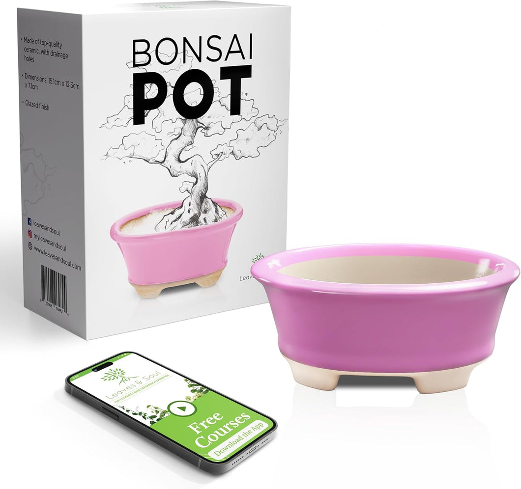 Glazed Ceramic Bonsai Pot | Pink Oval