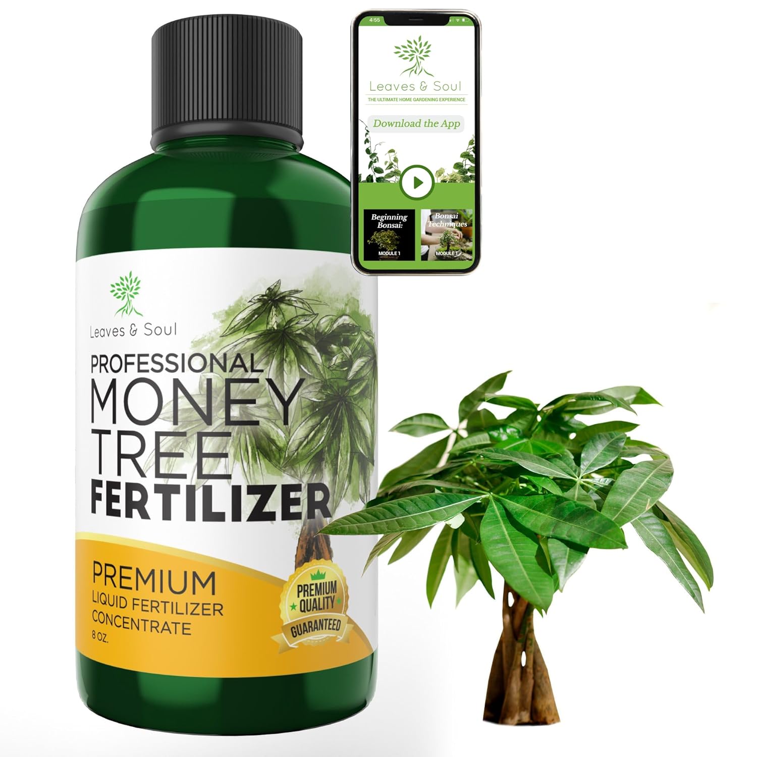 Professional Liquid Money Tree Fertilizer