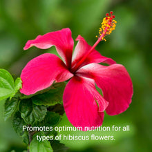 Load image into Gallery viewer, Professional Hibiscus Liquid Fertilizer - 2-5-4 Nutrient Blend - 8 oz
