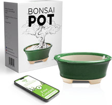 Load image into Gallery viewer, Glazed Ceramic Bonsai Pot | Green Oval
