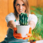 Professional Cactus Soil | Large 2.2 Quarts Ready to Use for Cactus Plants | Peat Moss, Coco Coir, Perlite, Dolomite