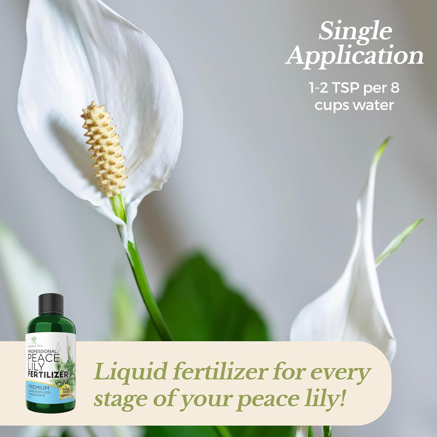 organic fertilizer for peace lily Professional Liquid Peace Lily Plant Fertilizer – Leaves and Soul