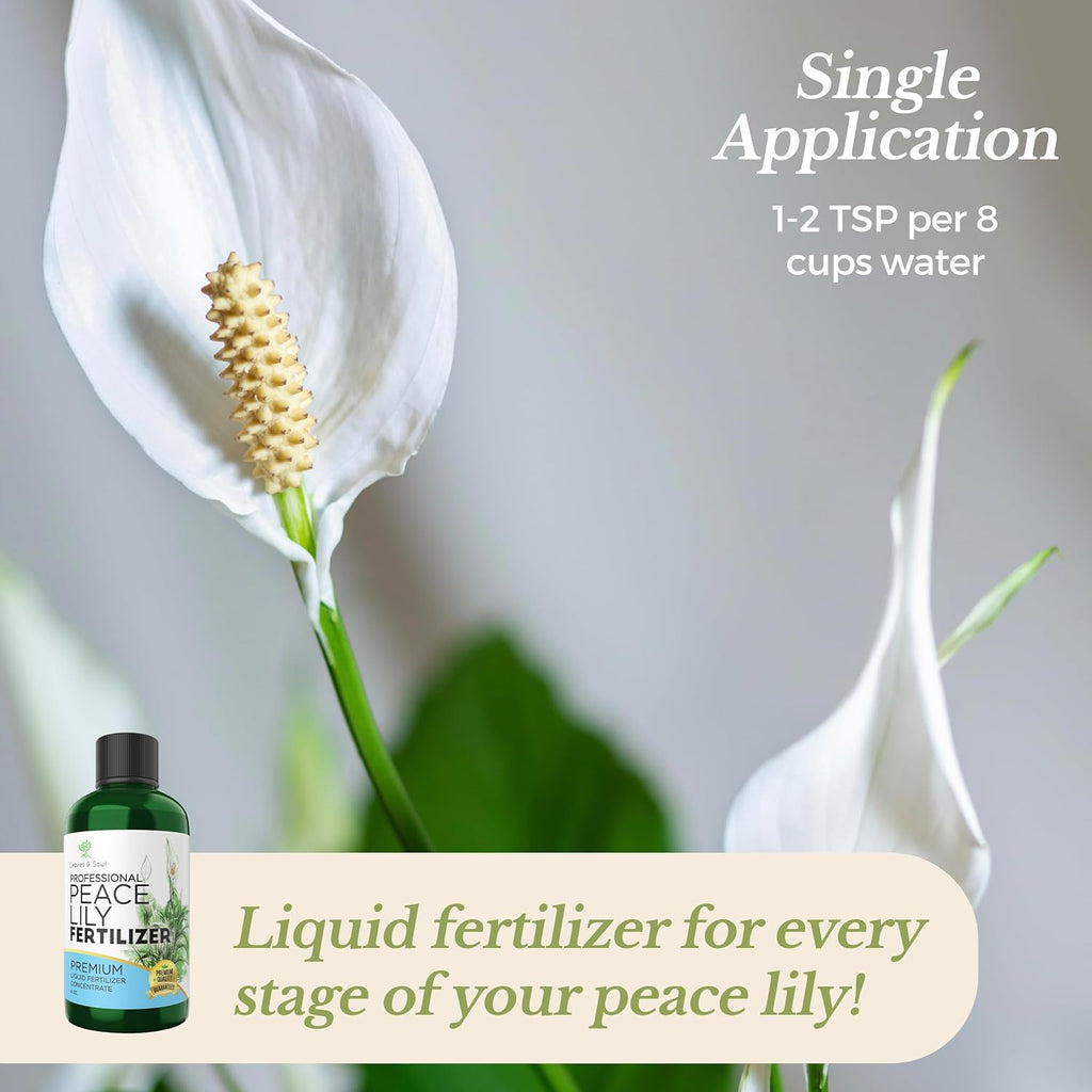 Professional Liquid Peace Lily Plant Fertilizer
