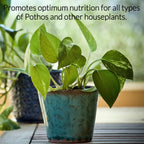 Professional Liquid Pothos Plant Fertilizer | 3-1-2 Concentrate for Epipremnums and Houseplants | 8 oz Bottle