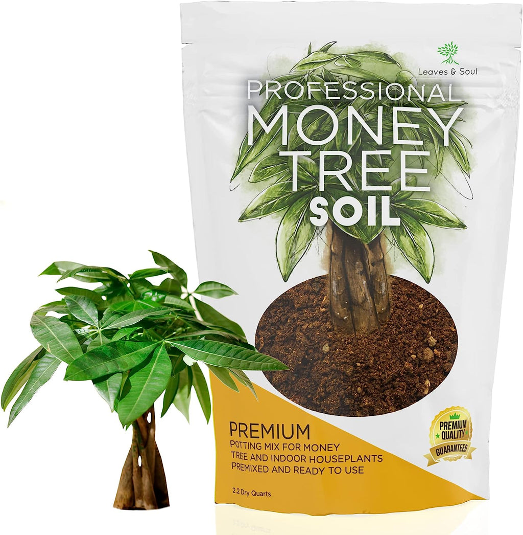 Professional Money Tree Soil | Large 2.2 Quarts Ready to Use for Money Tree Plants | Peat Moss, Coco Coir, Perlite, Dolomite