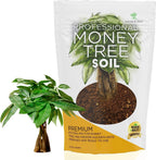 Professional Money Tree Soil | Large 2.2 Quarts Ready to Use for Money Tree Plants | Peat Moss, Coco Coir, Perlite, Dolomite